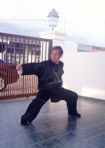 Shaolin Kung Fu