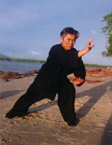 Traditional Kungfu