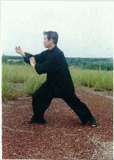 Taijiquan, Tai Chi Chuna