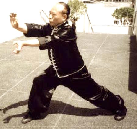 Guangdong Shaolin Kungfu