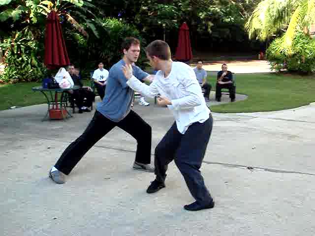 kungfu sparring