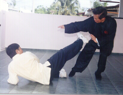 Shaolin Kung Fu Purple Bell