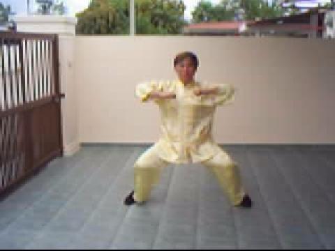 Shaolin Kungfu