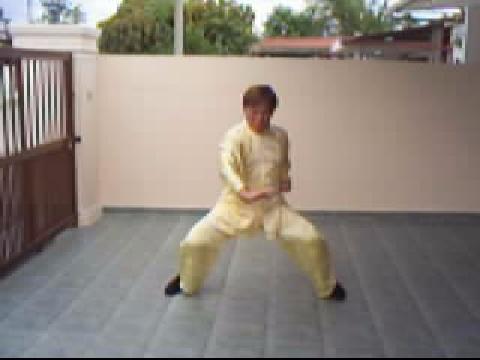 Shaolin Kungfu