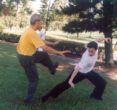 Wahnam Taijiquan