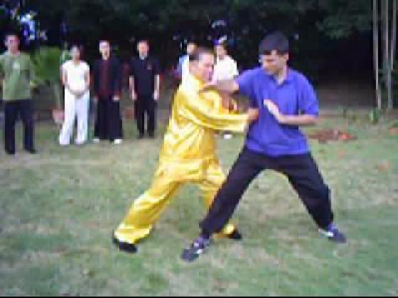 Taijiquan combat