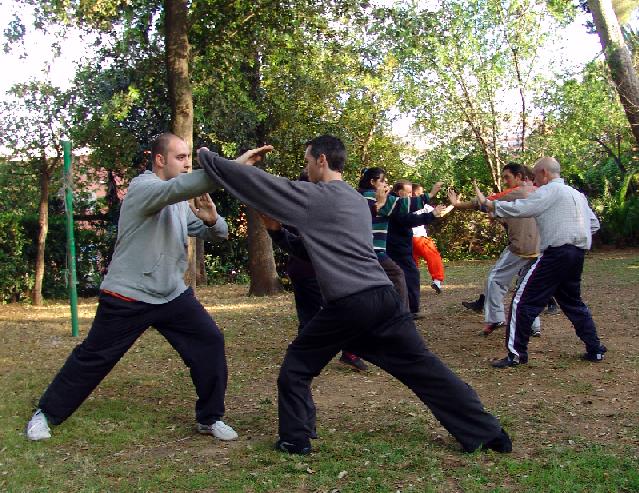 Shaolin Kungfu