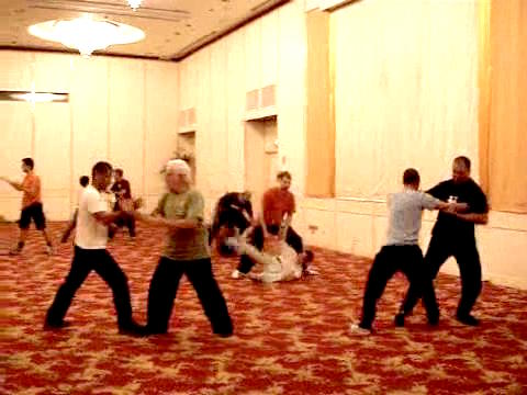 Wahnam Taijiquan