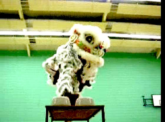 Lion Dance