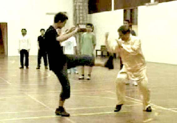 kungfu for combat