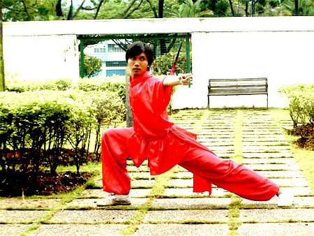 Wushu