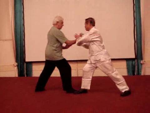 Taijiquan Combat