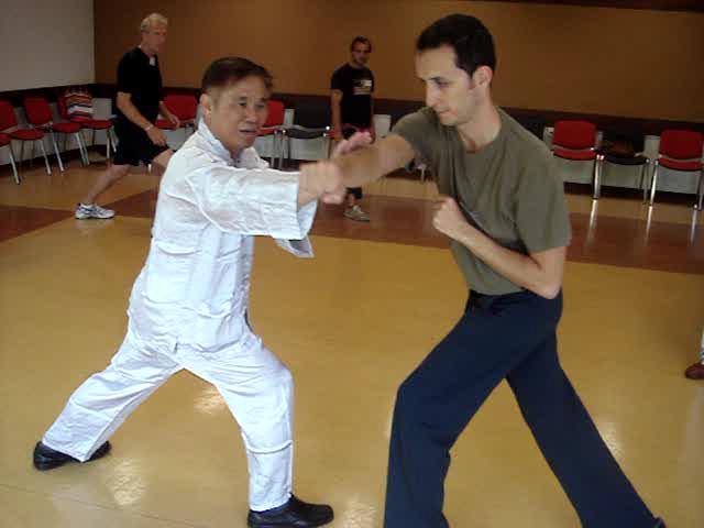 Taijiquan combat