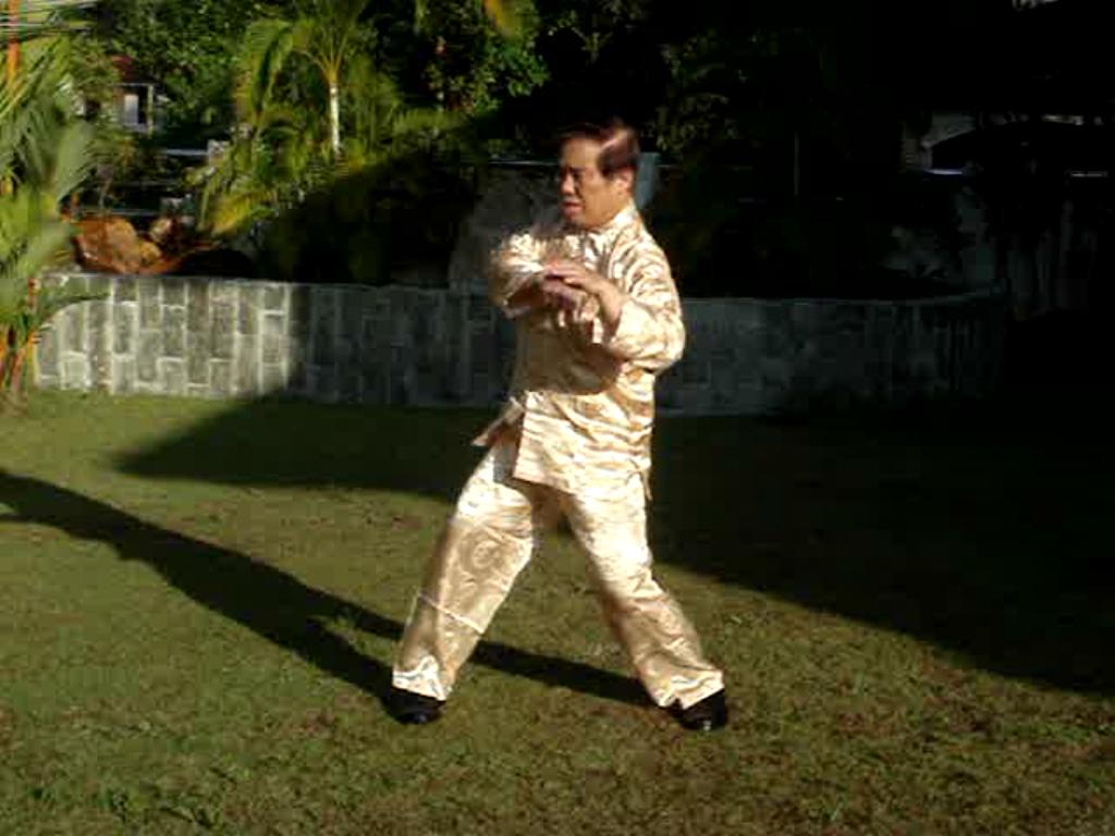 Wing Chun Kung Fu