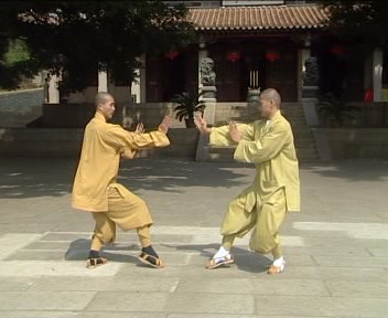 Wuzuquan sparring