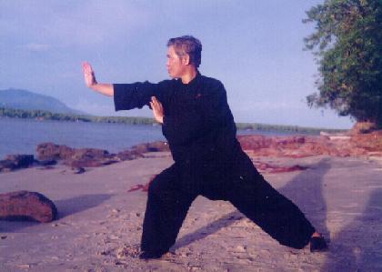 Chen Style Taijiquan