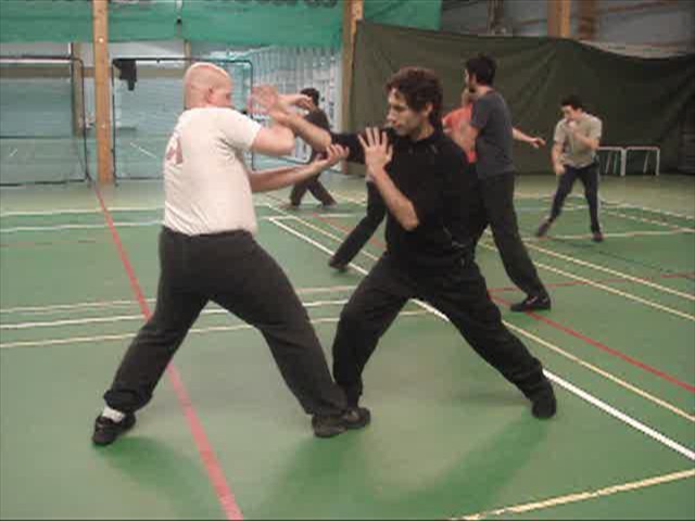 kungfu sparring