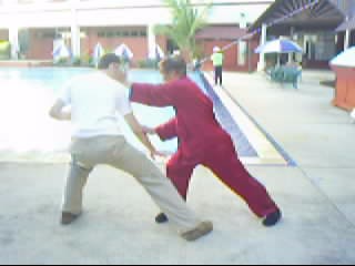 shaolin kung fu