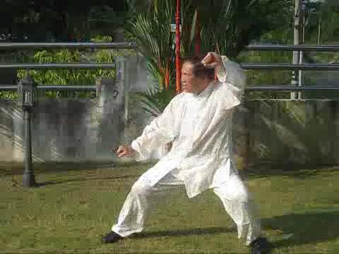 Tai Chi Chuan, Taijiquan