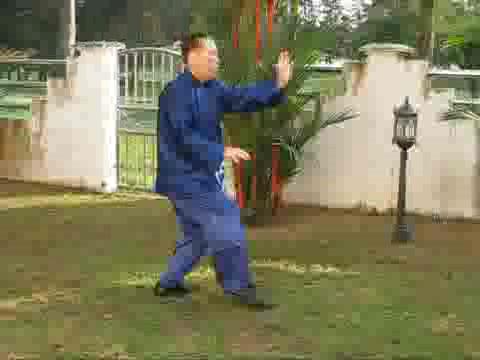 Wudang Taijiquan