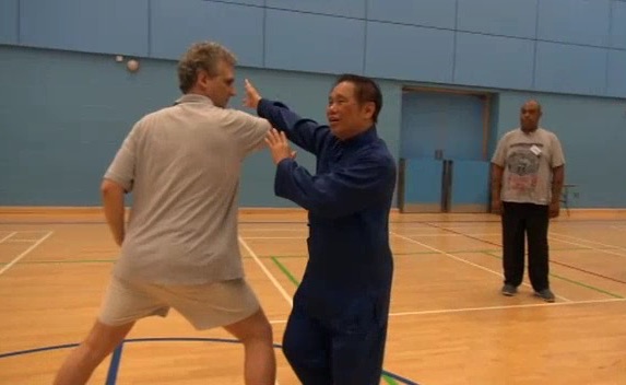 Taijiquan is an internal martial art