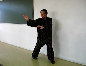Green Dragon Tests Claw of Baguazhang