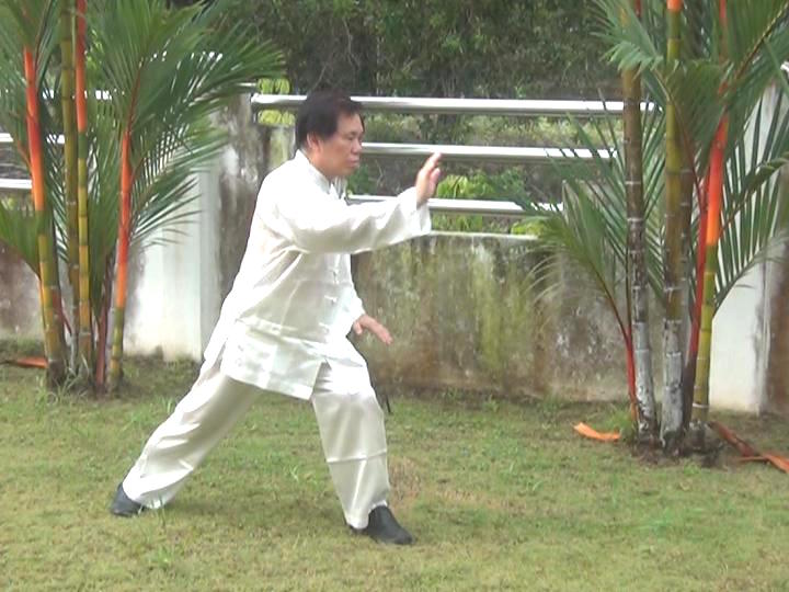 Taijiquan