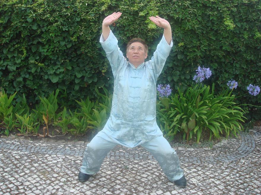 Yang Style Taijiquan