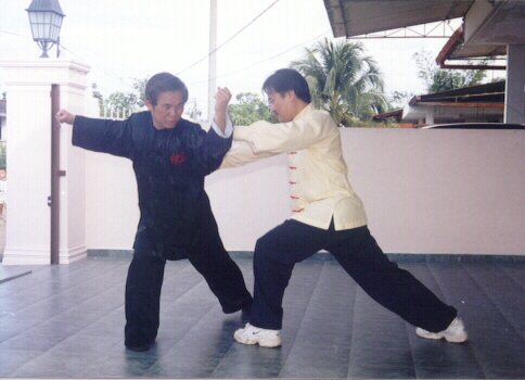 Choy-Li-Fatt Kungfu