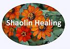 Shaolin Healing