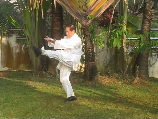 Baguazhang, Pakua Chang