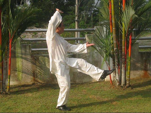 Baguazhang, Pakua Chang