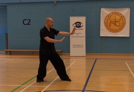 Wudang Taijiquan