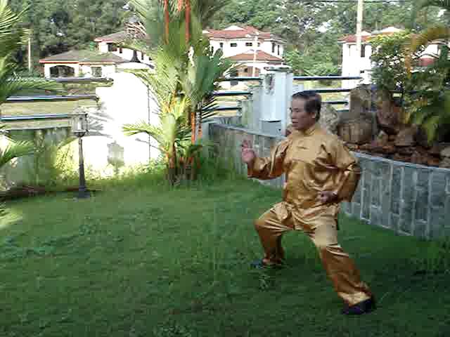 Shaolin neigong
