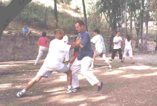 Taijiquan