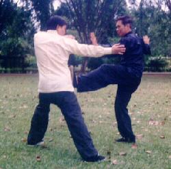 Taijiquan Combat