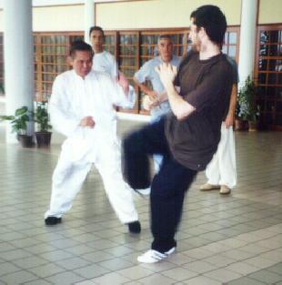 Taijiquan combat