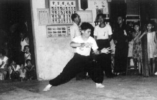 Southern Shaolin Kungfu