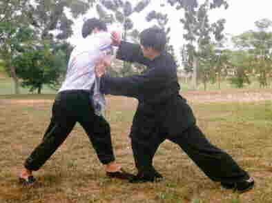 Taijiquan combat