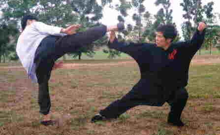 Taijiquan combat