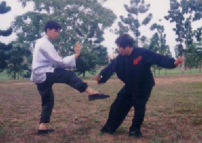 Shaolin combat