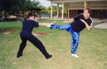 Combat Application of Taijiquan