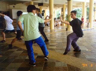 Importance of stances in kungfu combat
