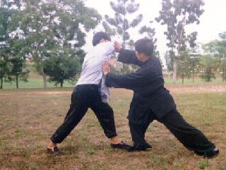 Taijiquan