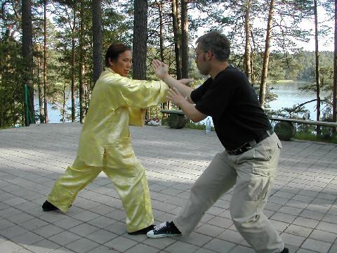 Taijiquan Application