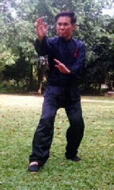 Taijiquan Tai Chi Chuan