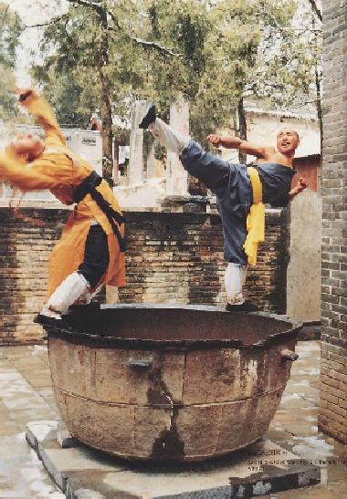 Shaolin Wushu