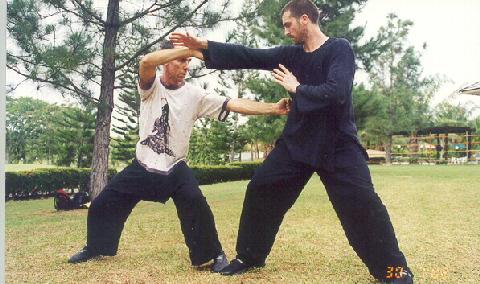 Taijiquan combat sequence