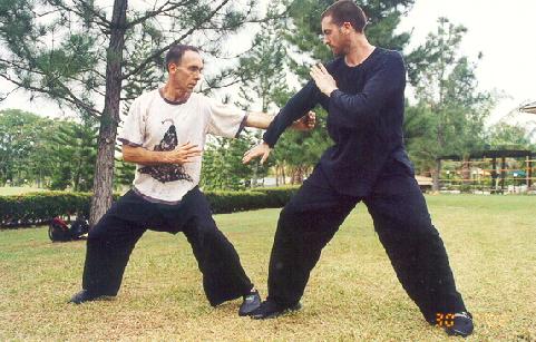 Taijiquan combat sequence