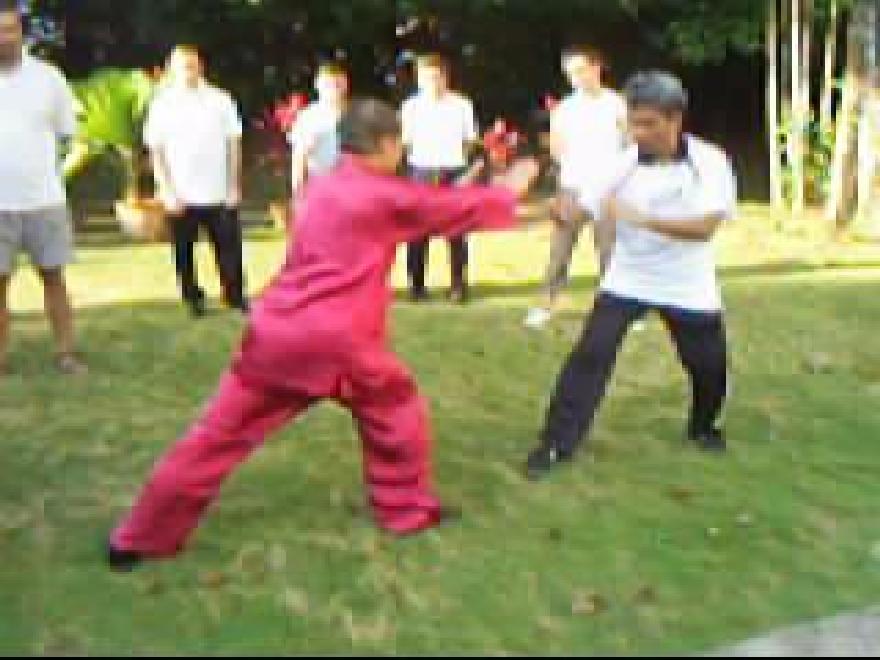 Taijiquan Sparring